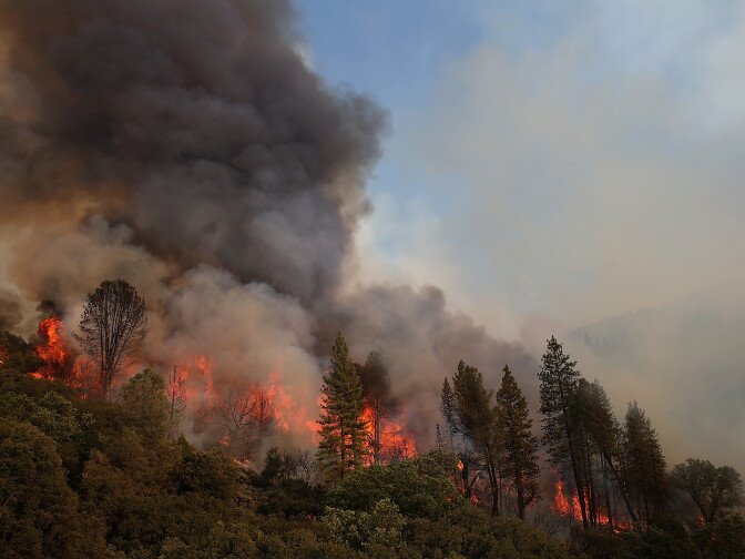 GROVELAND, CA - AUGUST 21:  Fire consumes trees along US highway 120 as the Rim Fire burns out of control on August 21, 2013 in Groveland, California. The Rim Fire continues to burn out of control and threatens 2,500 homes outside of Yosemite National Park. Over 400 firefighters are battling the blaze that is only 5 percent contained.  (Photo by Justin Sullivan/Getty Images)