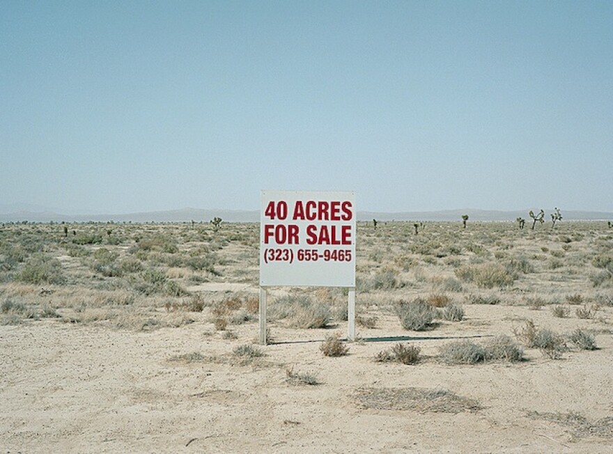you_could_afford_this_desert.jpg