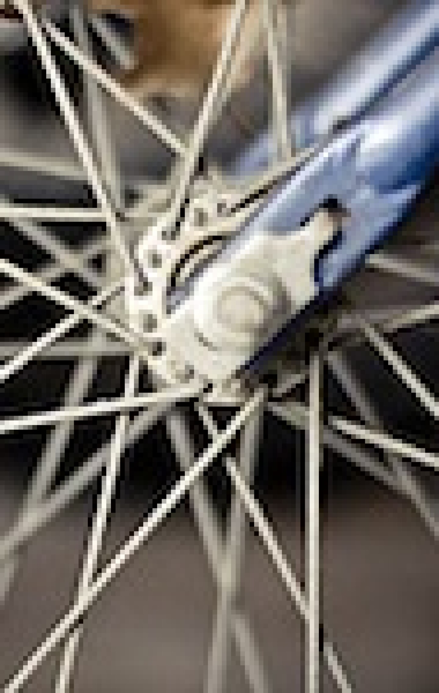 111-bicycles.jpg