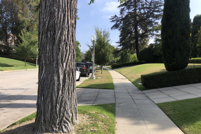 A peaceful, tree- and lawn-lined street. 