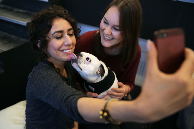 A visitor takes a selfie with her pug dog at a pop-up Pug Cafe in Brick Lane, east London on October 27, 2017.
Pugs are the new fashion must-have in Britain, with owners, in love with their saggy faces and big eyes, even taking them for cocktails and afternoon tea in Pug-dedicated cafes. / AFP PHOTO / Daniel LEAL-OLIVAS / TO GO WITH AFP STORY 'Britain-trend-animals-cafe' by Pauline FROISSART        (Photo credit should read DANIEL LEAL-OLIVAS/AFP/Getty Images)