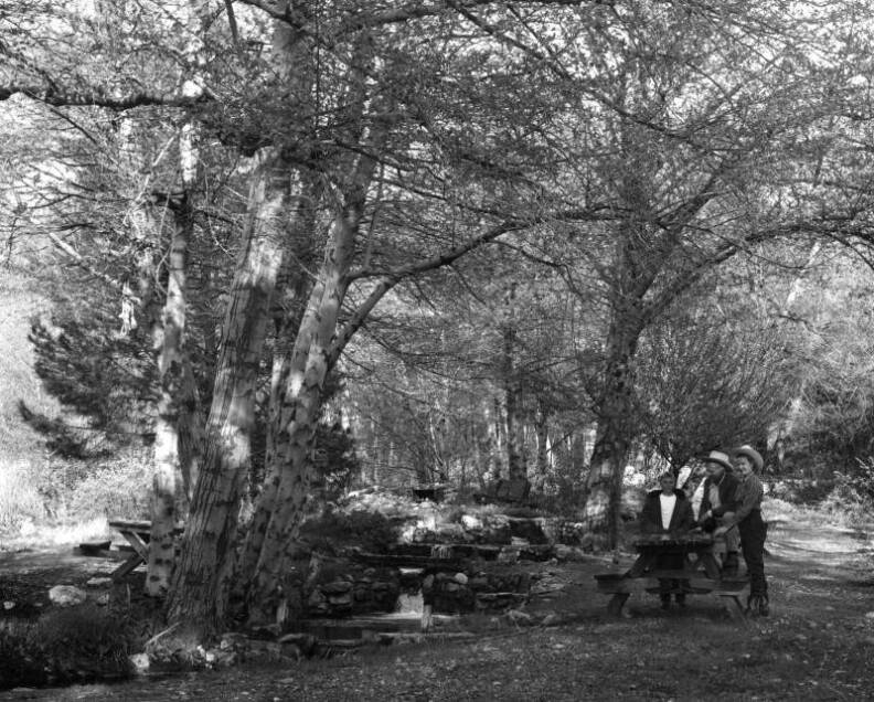 A black-and-white photo of three men in the distance sitting at or standing next to a picnic table under many trees