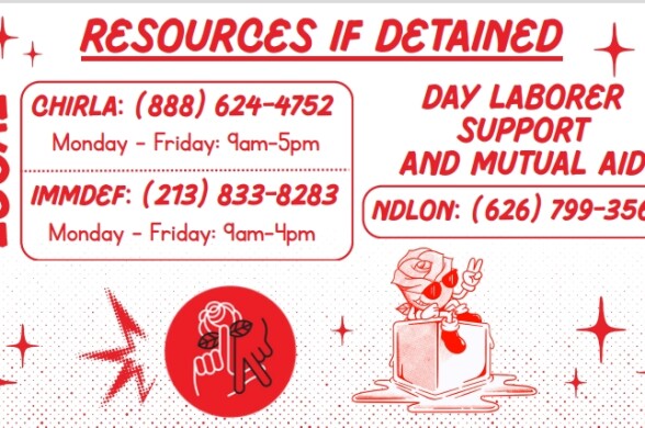 A red and white hotline card with information on who to call when a person has been detained by ICE. The card features illustrations like a rose with sunglasses melting a cube of ice.