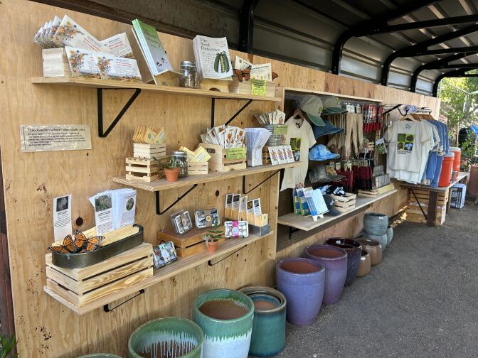 On wall shelves are an arrange of small envelopes that carry plant seeds. Under the shelves are a variety of planters in green, purple, and brown, ranging in different sizes. Of to the right is a clothing rack with t-shirts. In the center of the wall are more shelves with gardening tools, hats and some books.