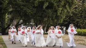 The photo shows a group of women, all dressed in wedding gowns with signs that read "stop child marriage in CA" emblazoned across their chests, heading to a protest 
