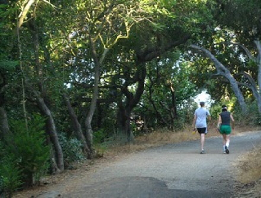 wilacre_park_parking.jpg