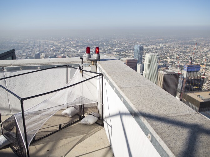 The Natural History Museum has partnered with the U.S. Bank Tower to study insects from atop the tallest building on the West coast. Entomologists with the museum placed an insect trap on the roof of the 73-floor building.