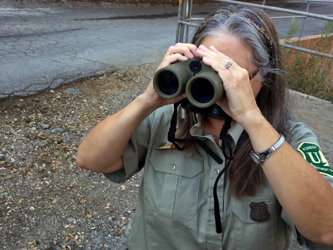 Jenny Rechel of the U.S. Forest Service listens for bird calls in the San Gabriel Mountains on Wednesday morning, Sept. 30, 2015.