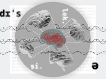 A graphic of a brain and pieces of the brain surrounding it with three wavelengths going across the picture. 