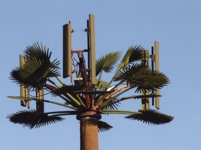 The palm tree is so obiquitous, it becomes the perfect disguise for a cell phone tower.