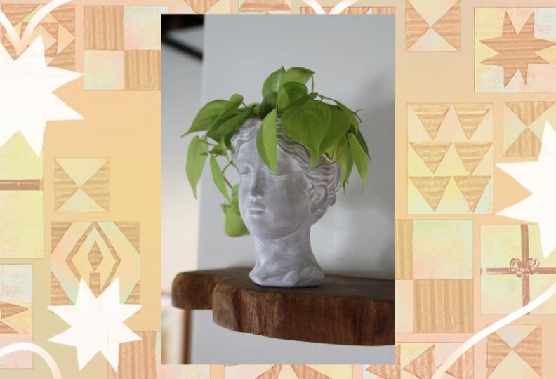 A green plant sits inside a cement head of a woman with closed eyes, like an antique statue
