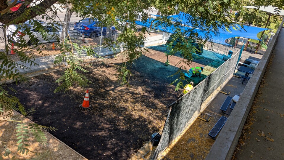 Fenced land with young trees planted. A person crouches to work on planting.