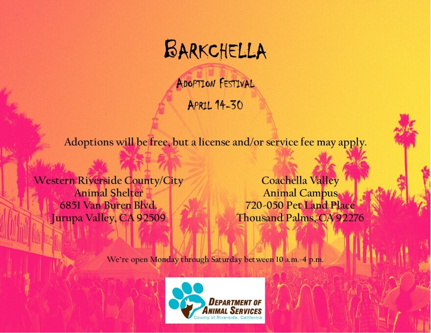 A pink and orange poster with the faint outline of palm trees and a giant ferris wheel. Black text in a playful font reads "BarkChella" at the top, and a logo with a paw print and the words "Department of Animal Services" is at the bottom. More text describes the addresses of two animal shelters.