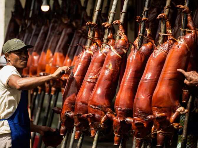 A worker removes hair from roasted pigs for sale along a street in Manila on December 24, 2016. 
Lechon, or roasted pig, is regular fare at Philippine festivities, especially during the Christmas season.