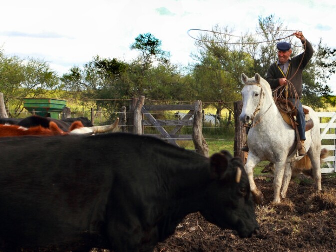 Jaime Jruz, son of Russian immigrants and leader of the Jewish community of Villa Dominguez, still works on the farm where he was born and grew up.
