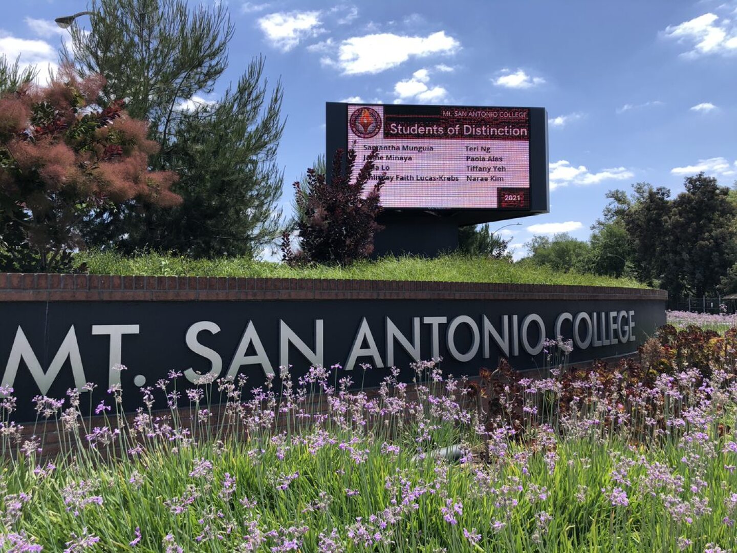 College Students Ask What’s Up With My 'Ghost Professor?' LAist