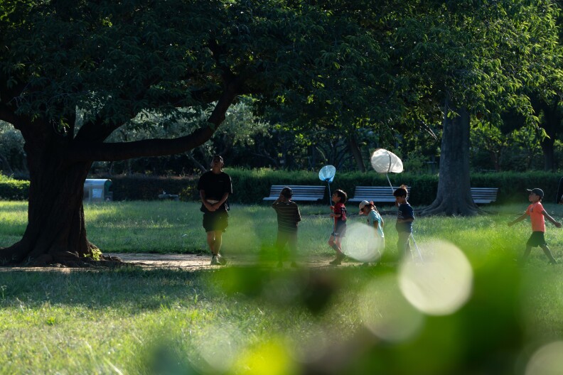 Children stand next to a large tree with green leaves in a park. Two children are holding up a blue net and a white net. They are surrounded by green grass.