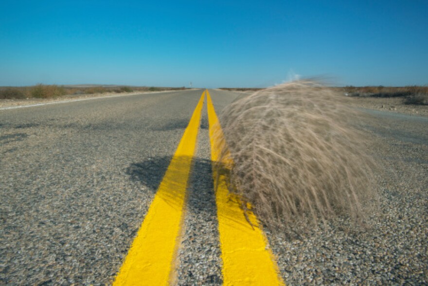Tumbleweeds real menace in western US LAist NPR News for Southern