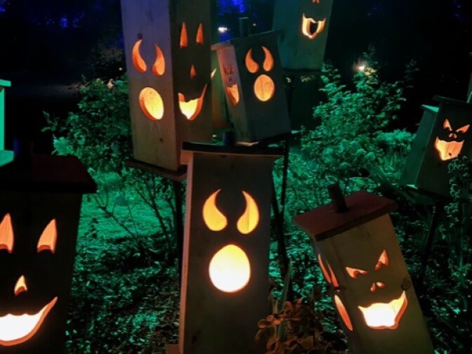 A half dozen boxes carved up with spooky jack o' lantern faces are lit up at night at part of the Carved exhibit at Descanso Gardens 