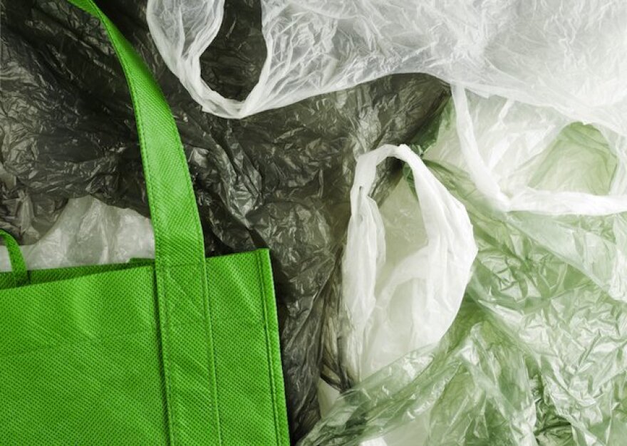 plastic-bag-ban-reusable-bag.jpg