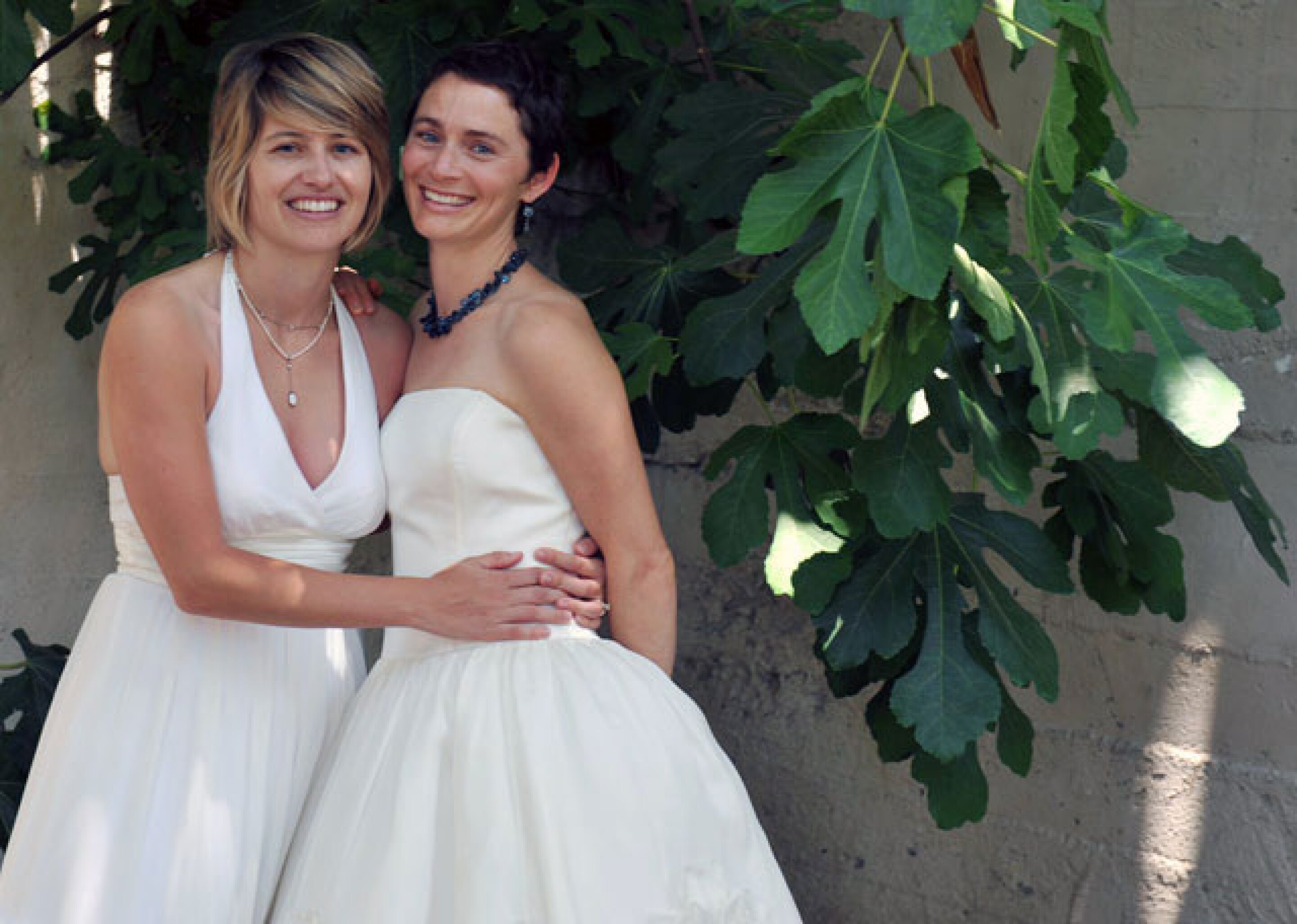 California ballot initiative to ban gay marriage Holland transsexuel porn