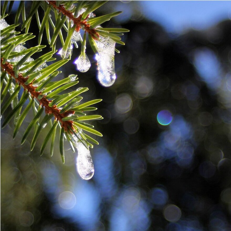 ice-thaw.jpg