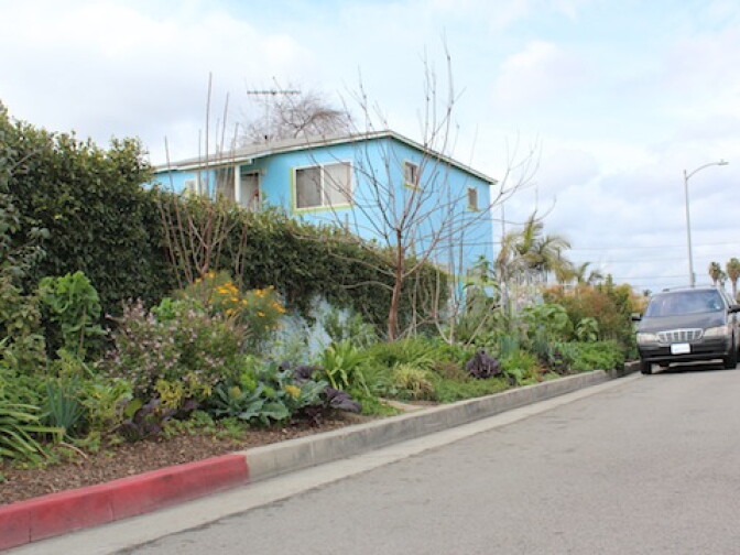 Finley's garden runs along the curb next to his home. He hopes that his whole neighborhood will soon look like this so the community can share in the bounty.