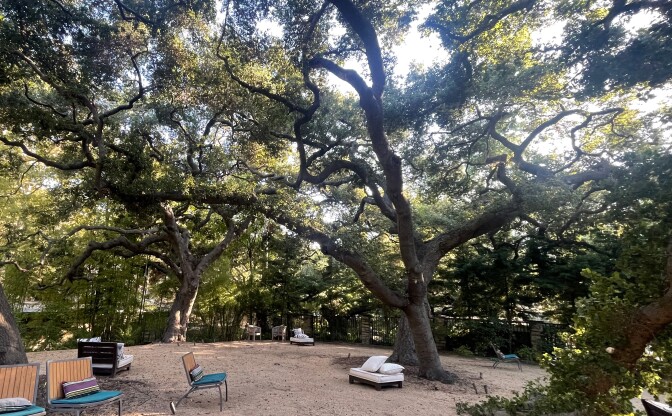 Oak trees shade an area open area with chairs and other seats.