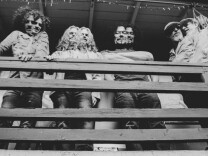 A black-and-white shot of four members of Orgōne the band standing on a balcony, double exposed.