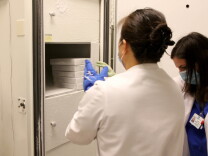 UCLA.Pharmacy department with staff photographed in anticipation of as well as the arrival of the first batch of the Pfizer Covid-19 vaccine, at Ronald Reagan UCLA Medical Center photographed in Westwood, December 15, 2020.