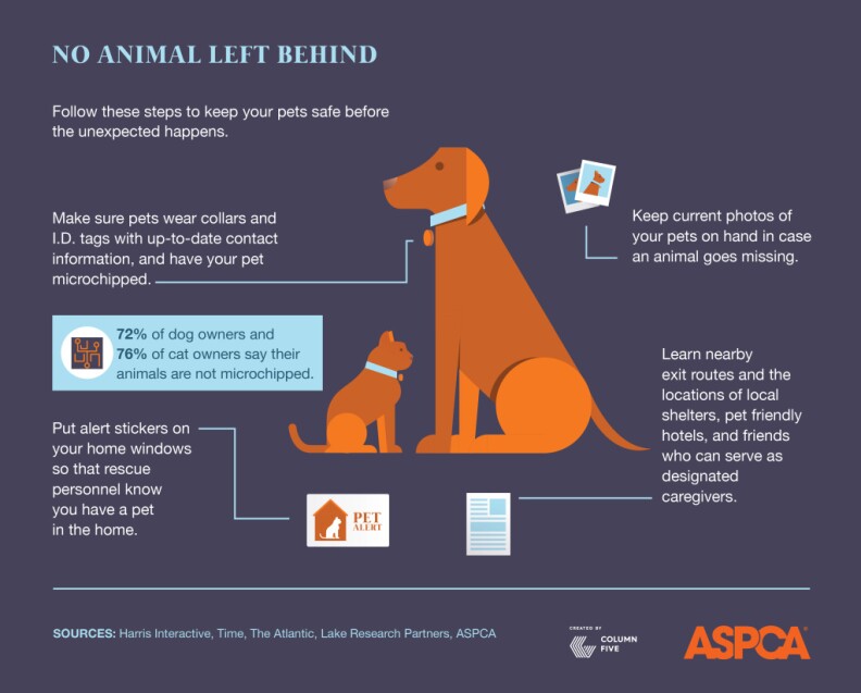 An infographic on pets in disasters from the ASPCA.
