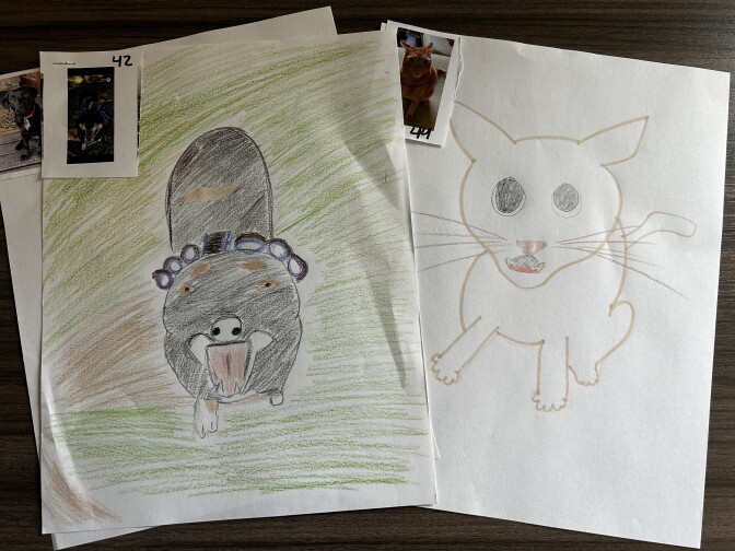 Crayon drawings of pets sit beside reference photos, including a dark dog and an orange cat, one sketch left uncolored.