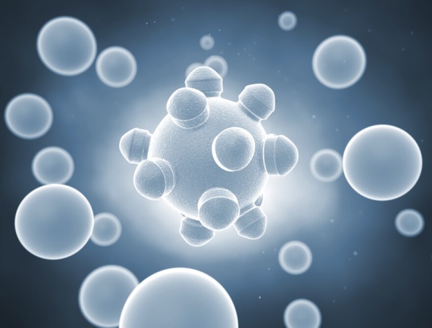 bacteria.jpg