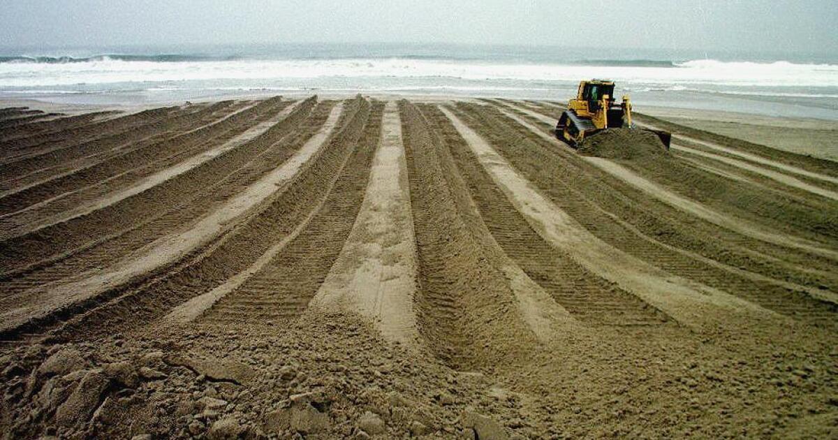 How the Ongoing Ocean Heatwave Affects Marine Life and What It Means for the Upcoming El Niño How the Ongoing Ocean Heatwave Affects Marine Life and What It Means for the Upcoming El Niño