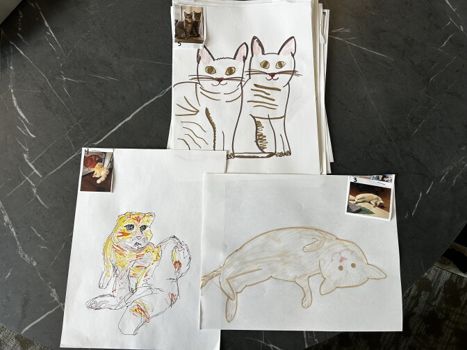 Hand-drawn cat sketches on paper, paired with small reference photos of real cats, sit on a marble table.