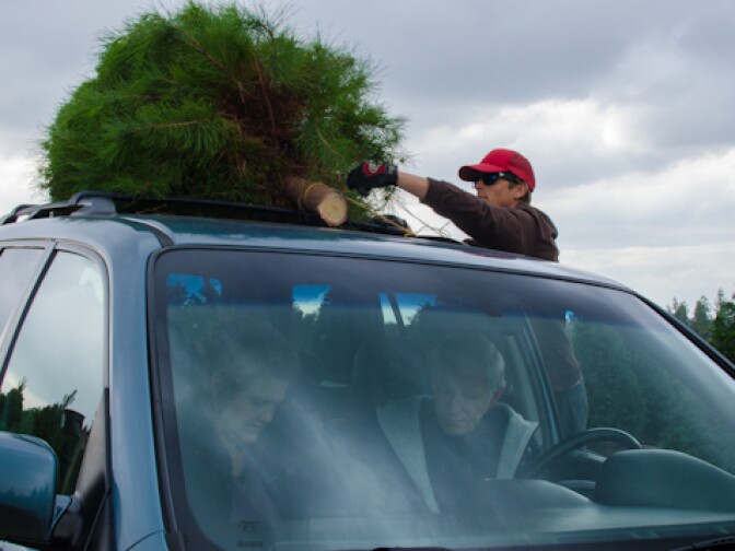 Steven Simms, rear, secures a Christmas tree on top of a car as Bari Rudmann, left, and Jerry Rudmann of Anaheim Hills wait in their car at Peltzer Pines in Brea, Calif., Wednesday, Dec. 12, 2012.