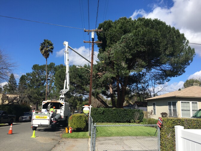 A tree-trimming crew hired by Southern California Edison clears branches from an old pine away from power lines on Sacramento Street in Altadena on March 8, 2019.