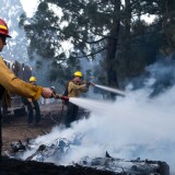 Two firefighters hold hoses as they spray water onto a burning pile of trees. A fire truck can be seen in the background. 