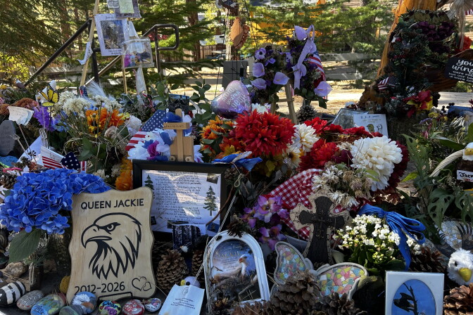 A memorial for an eagle named Jackie features flowers, flags, photos, pinecones and a sign reading "Queen Jackie 2012-2026."