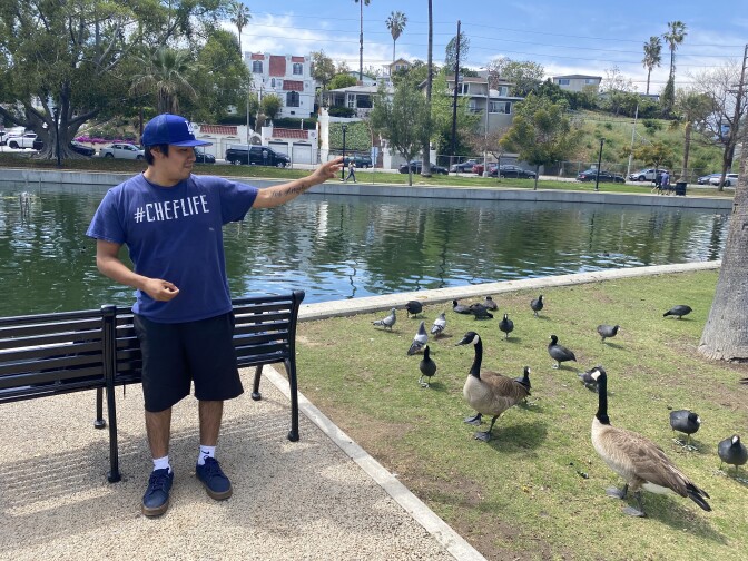 A man wearing a Dodgers baseball cap and blue shirt with white lettering that reads #ChefLife stands in front of a pond in a park feeding ducks who have gathered in a grassy area.