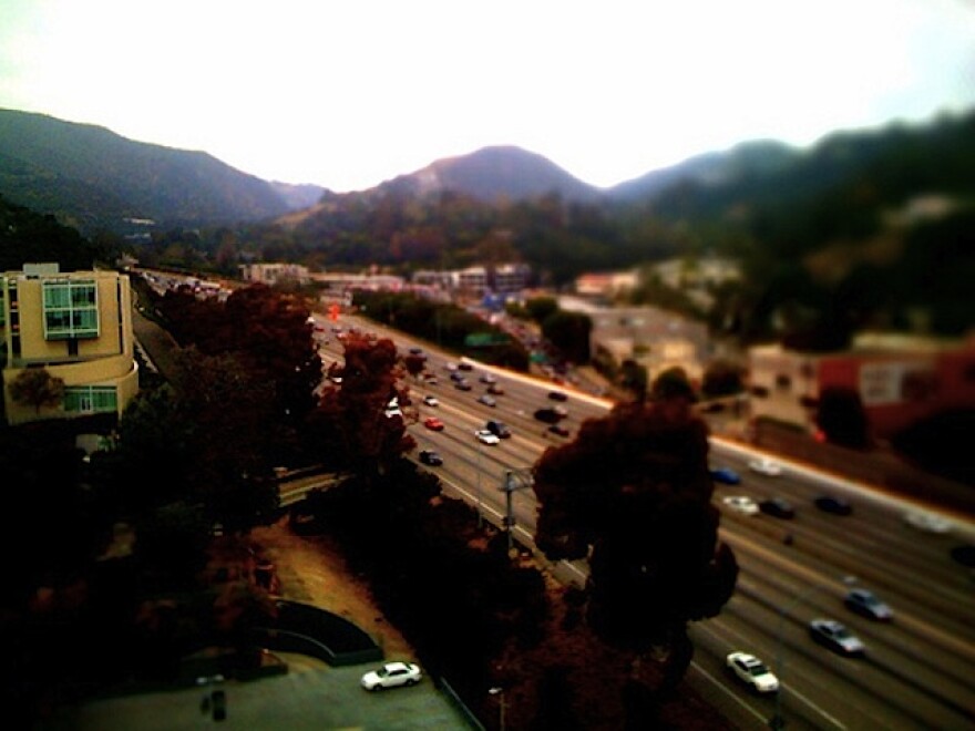 xx052010.jpg