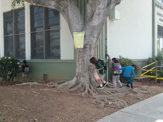 Kids play on the schools outside lawn after school. The Boyle Heights school is one of several that tested high for lead and the state is still deciding what to do about it.