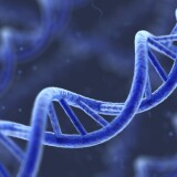 An artist's representation of DNA.