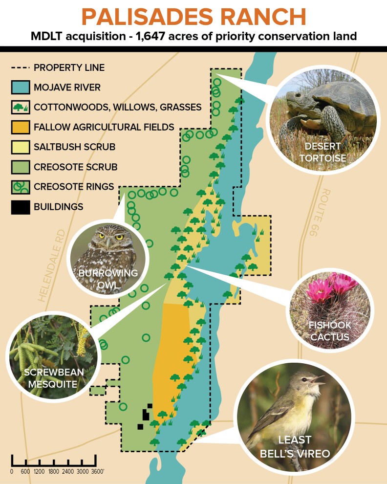 An illustrated map calls out some of the native species including the desert tortoise, burrowing owl, screwbean mequite, least bell's vireo and fishhook cactus