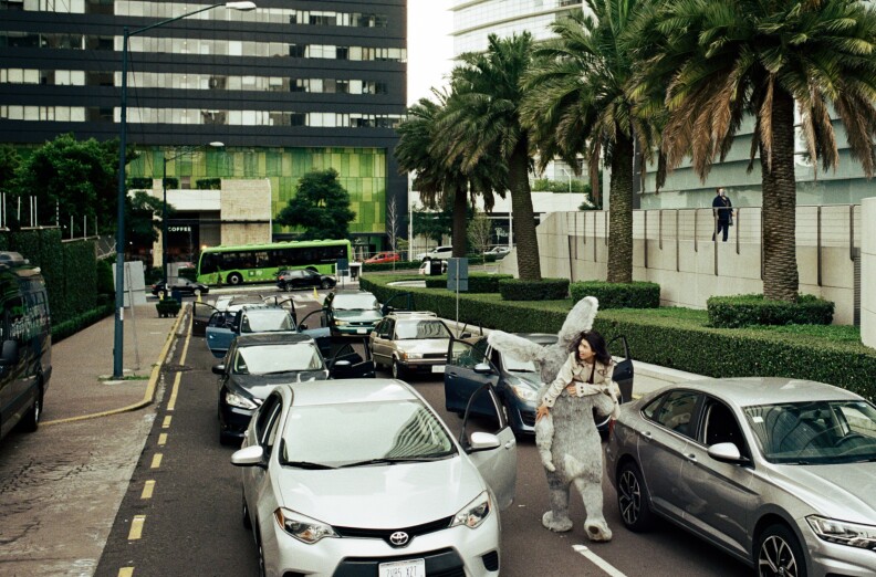 A person in a furry costume with its head off walks between cars on a palm tree-lined street.