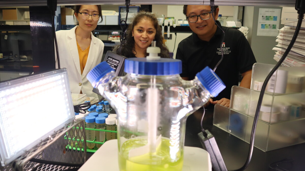 Researchers In San Diego Are Developing 'Space Guacamole' For Astronauts - Vimarsana News