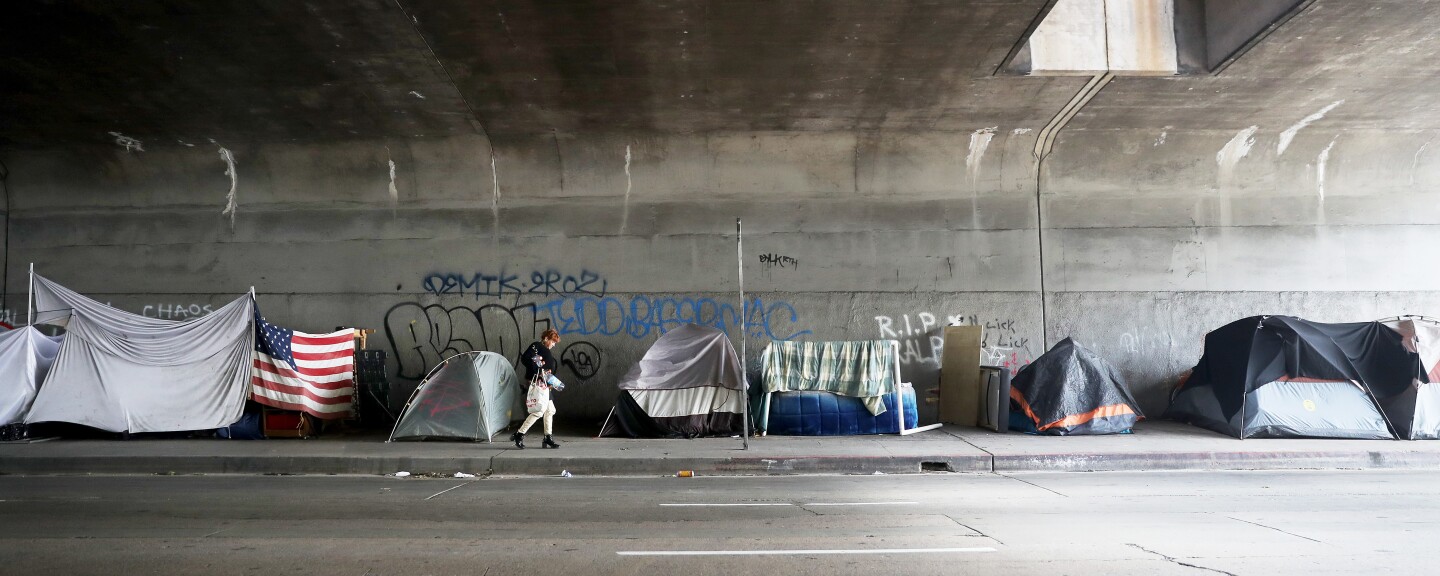 A row of tents and makeshift shelters, one using an American flag, sits under on a sidewalk under a freeway overpass.