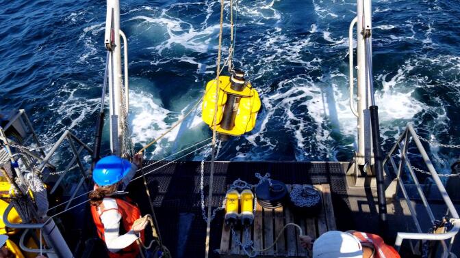 A person on a boat putting something in the water.