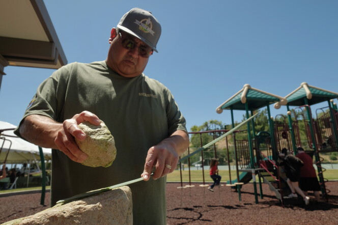 A man wearing a green shirt crushes a green plant blade with a rock. 