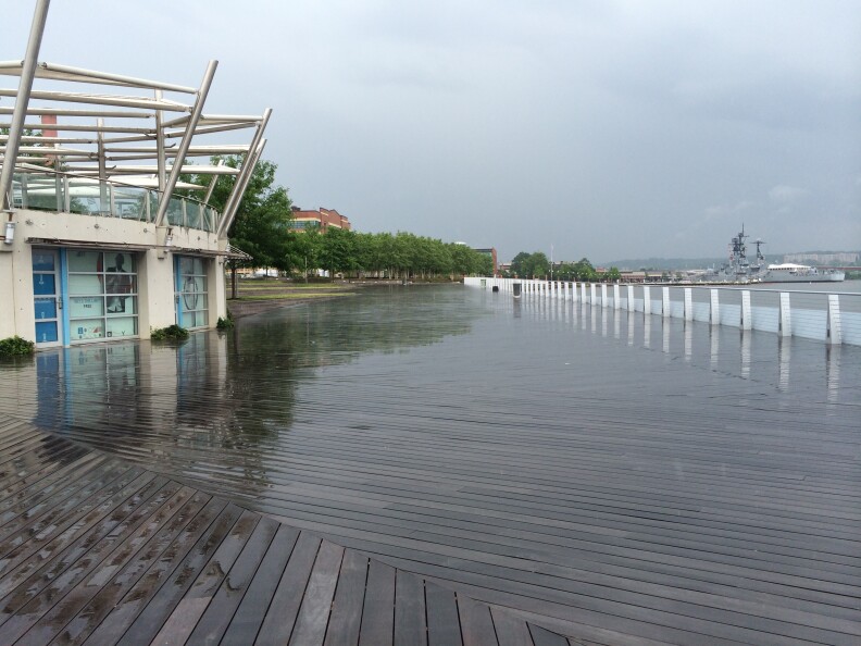 Along the banks of the Anacostia River in Washington DC 